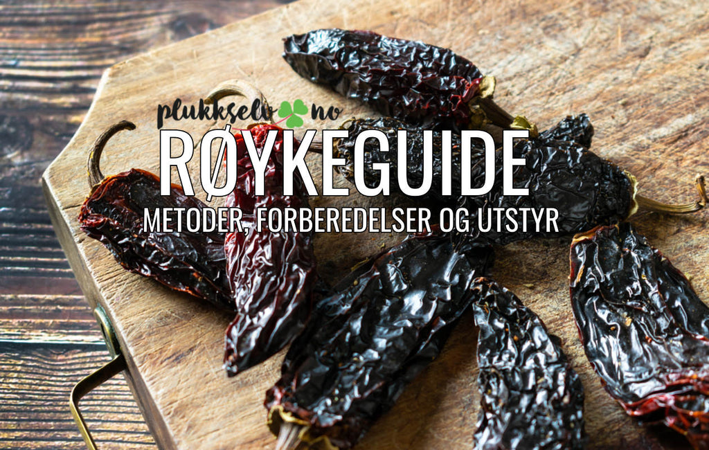 Plukkselvs røykeguide