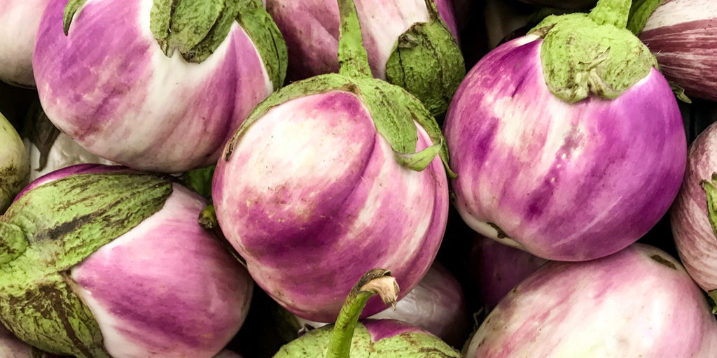 Hvordan lykkes med å dyrke aubergine i Norge