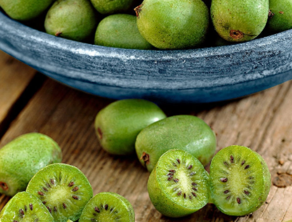 UNIKT! Mini kiwi, flerårig klatreplante, H3-H5 | Plukkselv.no