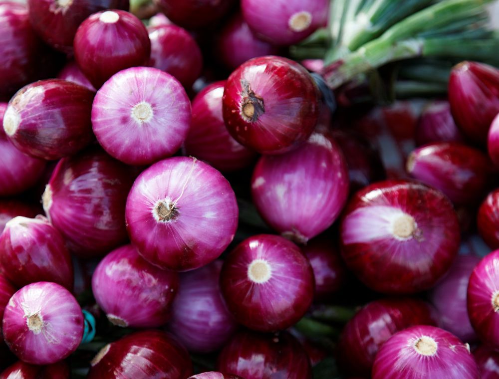 Setteløk Rød Løk Red Comred varmebehandlet - 250 gram | Plukkselv.no