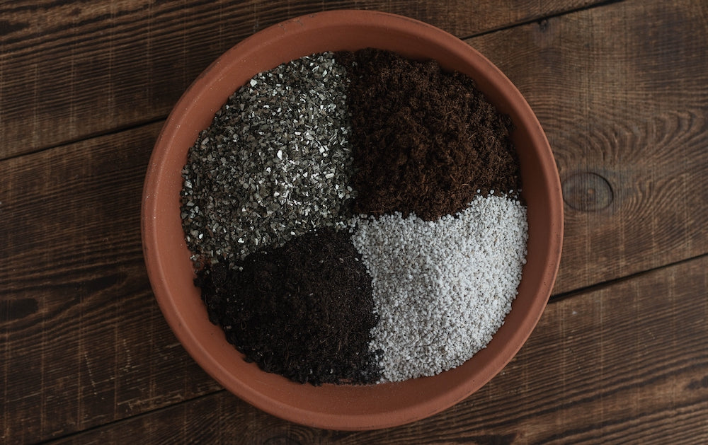 Vermiculite blandes ofte inn i jorden sammen med perlite, for å skape en porøs jord som røttene vokser raskere i, samt holde på fuktighet.