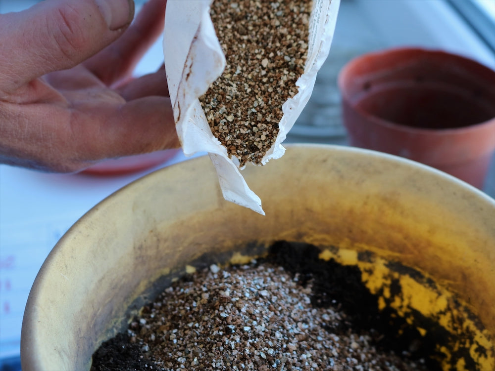 Vermiculite brukes til å drysse på toppen av jorden for å holde på fuktighet samt holde overflaten tørr. Dette er spesielt viktig ved såing av agurk og squash.